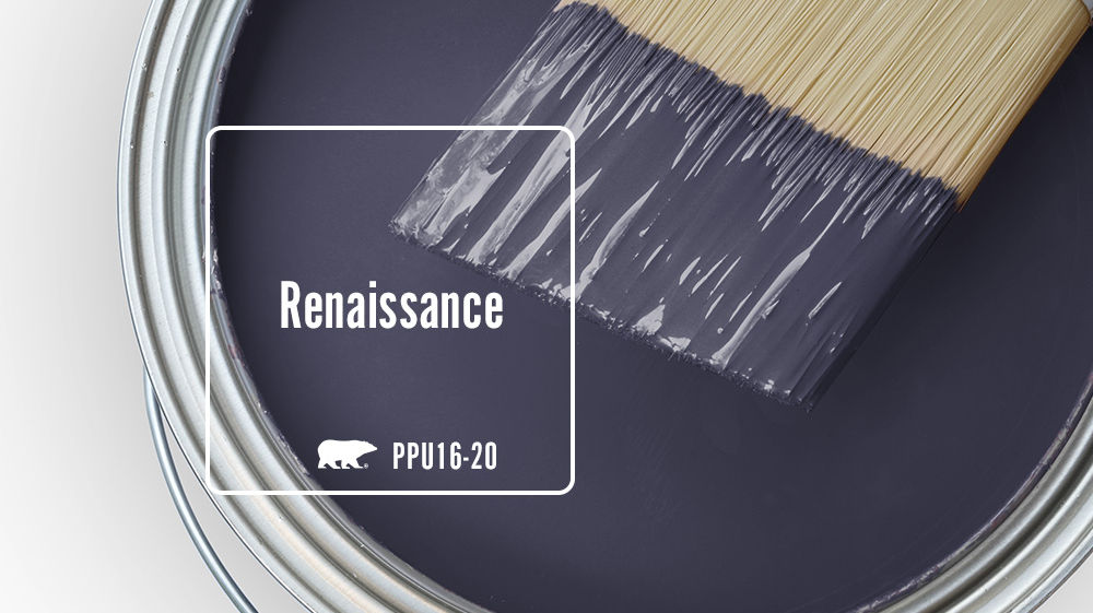 Renaissance PPU16-20 | Couleurs de peinture Behr