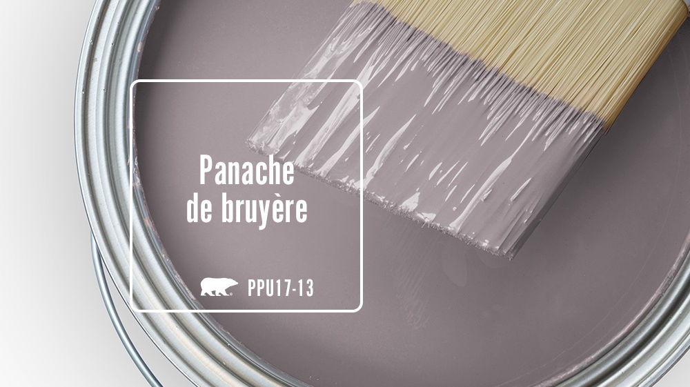 Panache de bruyère Color