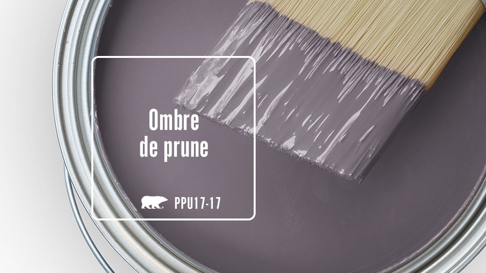 Ombre de prune Color for Mobile