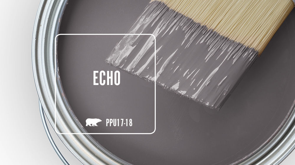 ECHO Color for Mobile