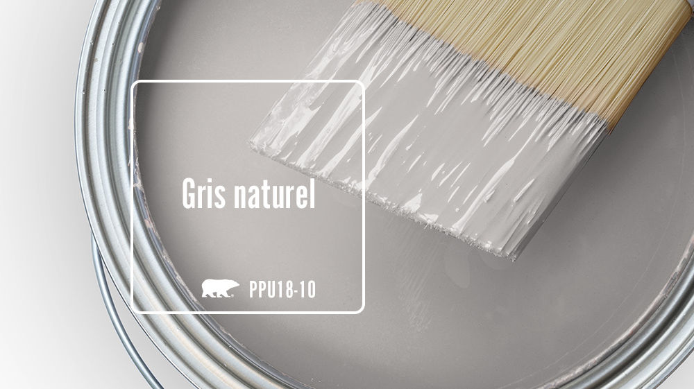 Gris naturel Color for Mobile