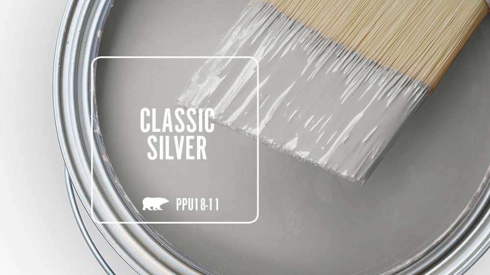 CLASSIC SILVER Color for Mobile