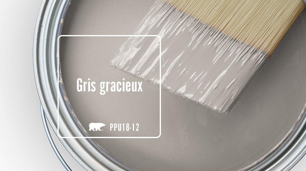 Gris gracieux Color for Mobile