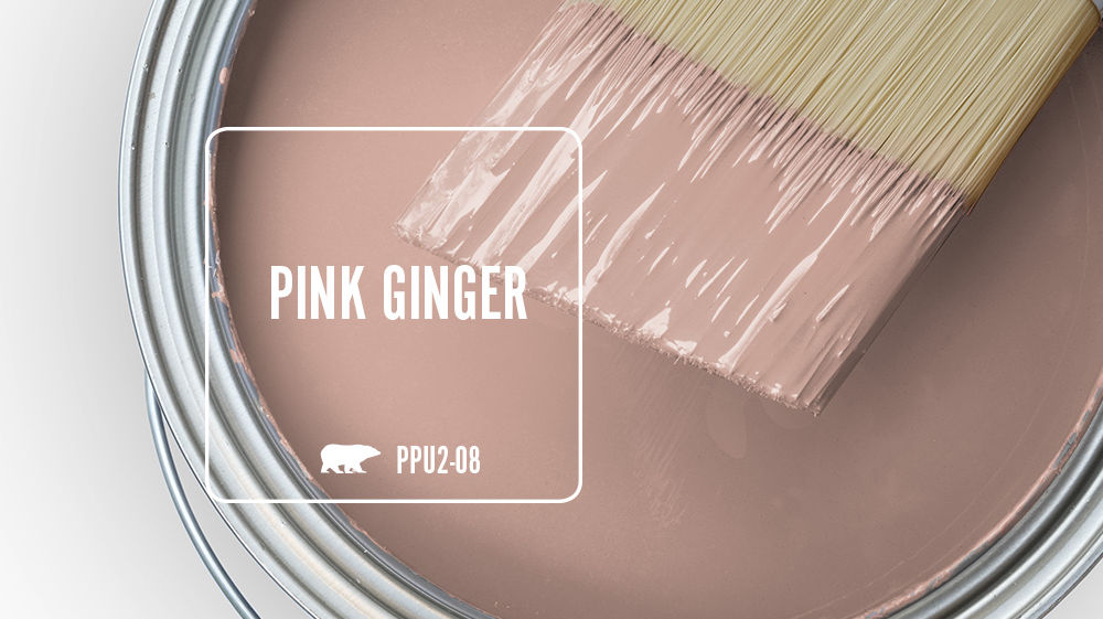 PINK GINGER Color for Mobile