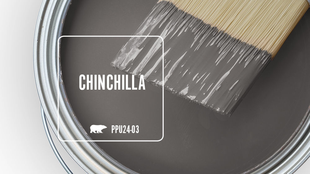 CHINCHILLA Color for Mobile