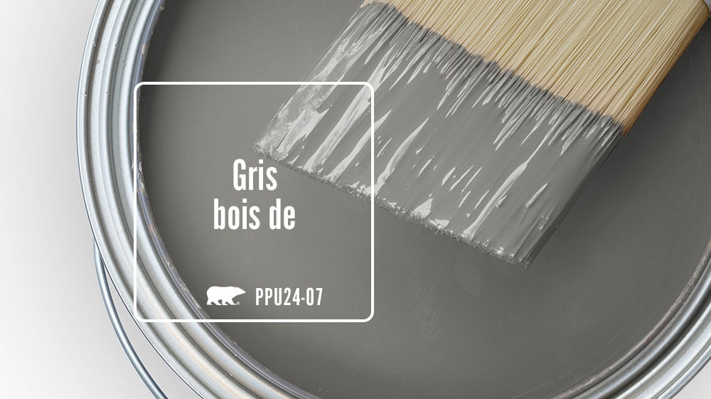 Gris bois de grange Color for Mobile
