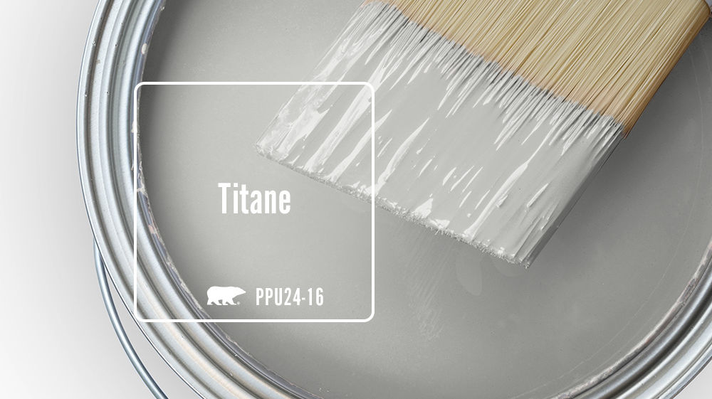 Titane Color for Mobile