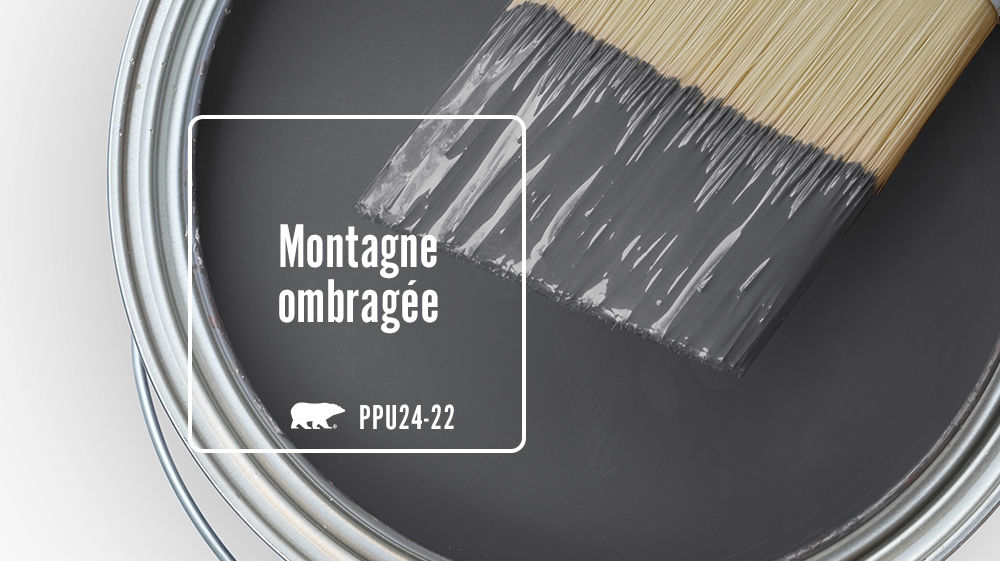 Montagne ombragée Color for Mobile