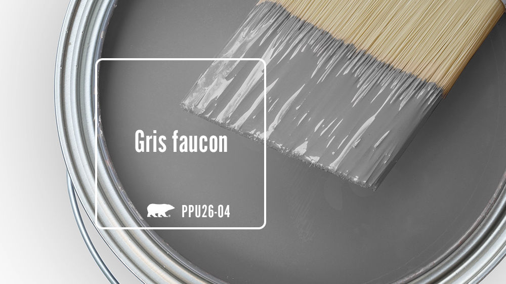 Gris faucon Color for Mobile