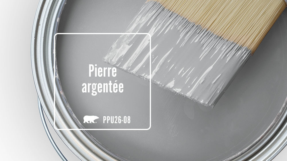 Pierre argentée Color for Mobile