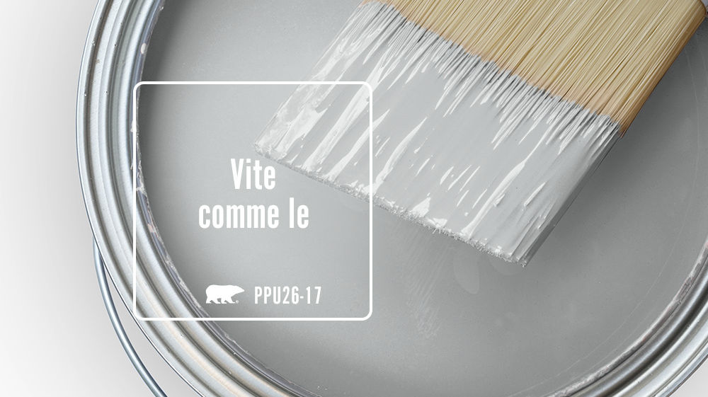 Vite comme le vent Color for Mobile