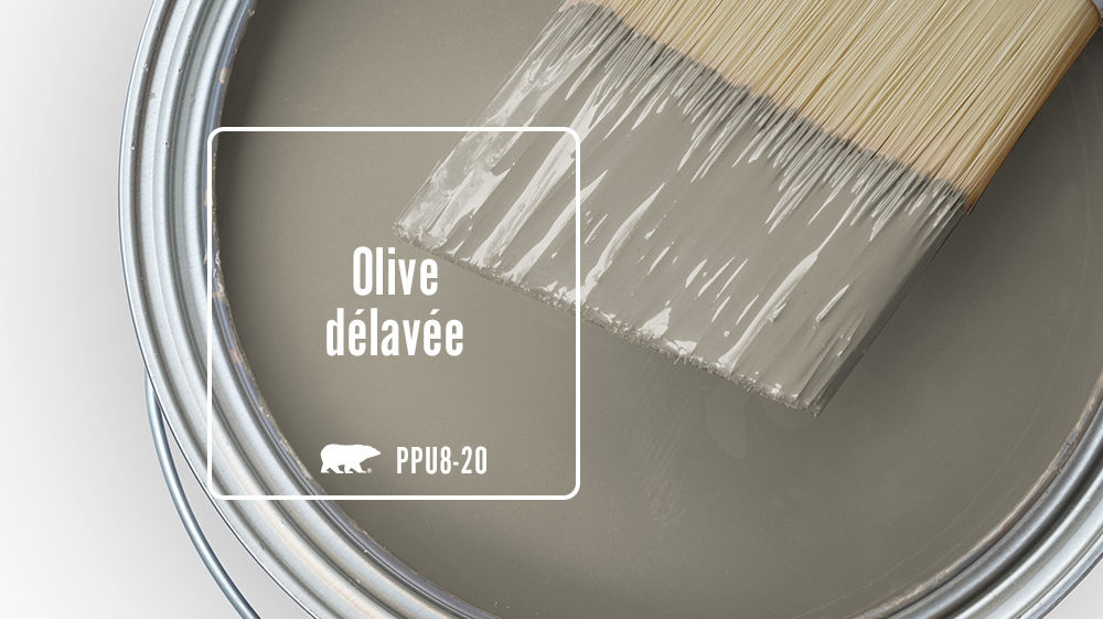 Olive délavée Color for Mobile