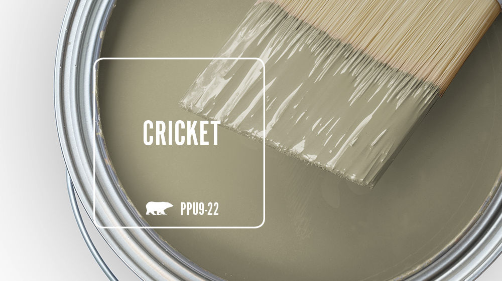 CRICKET Color for Mobile