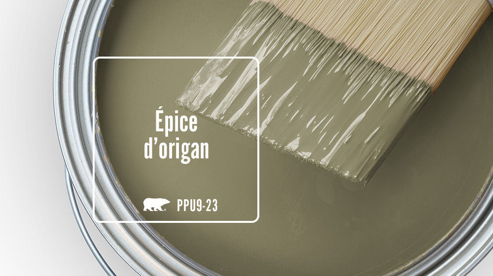 Épice d'origan Color for Mobile