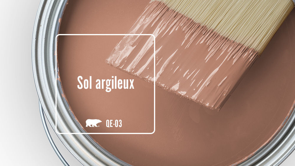 Sol argileux Color for Mobile