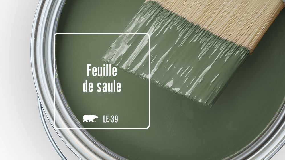 Feuille de saule Color for Mobile