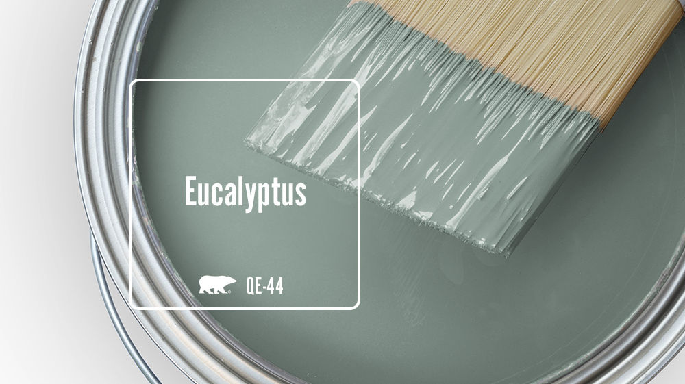 Eucalyptus Color for Mobile