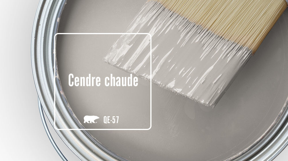 Cendre chaude Color for Mobile