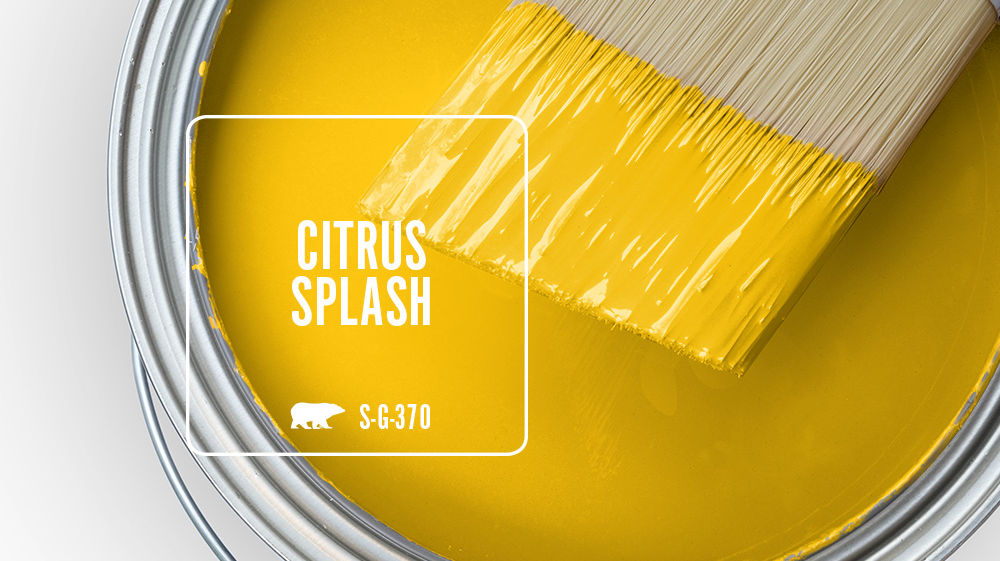 CITRUS SPLASH Color for Mobile