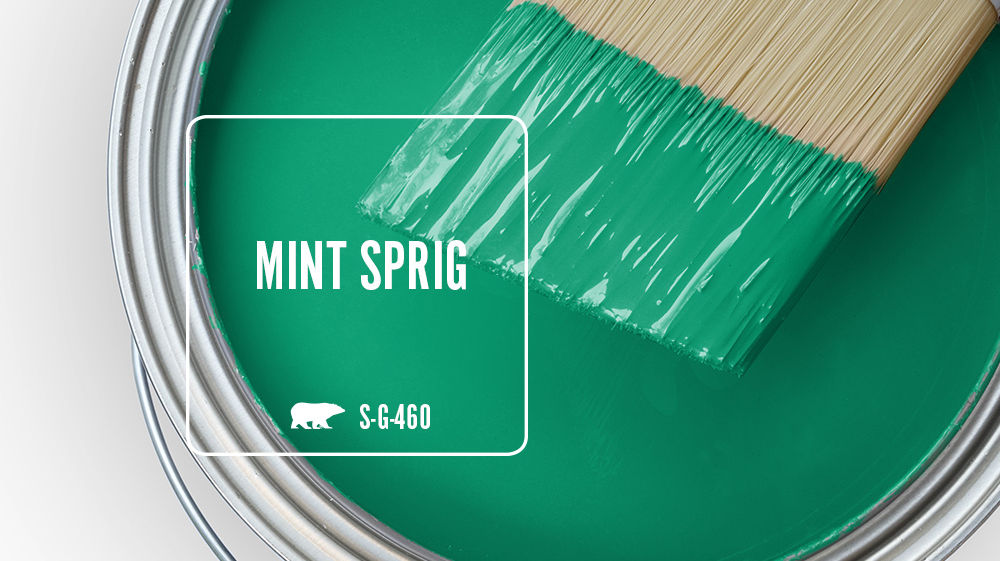 MINT SPRIG Color