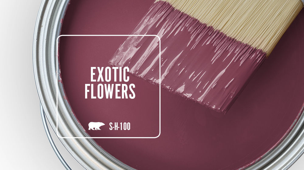 EXOTIC FLOWERS Color