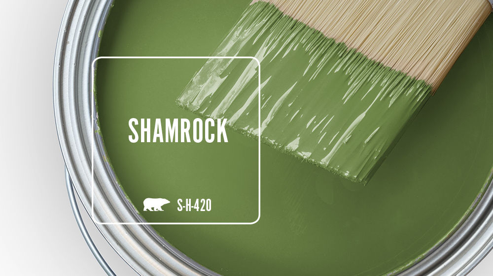 SHAMROCK Color