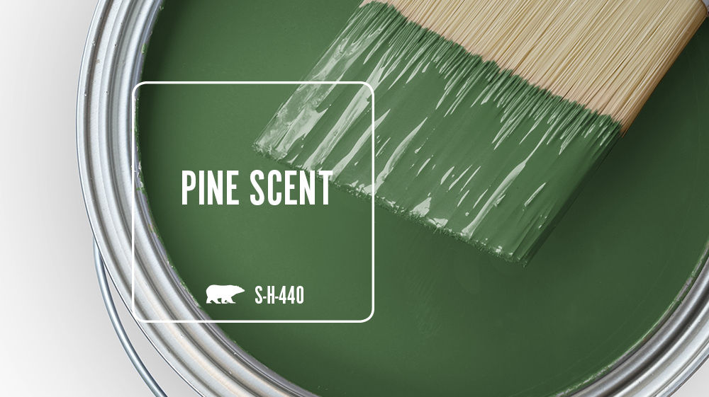 PINE SCENT Color