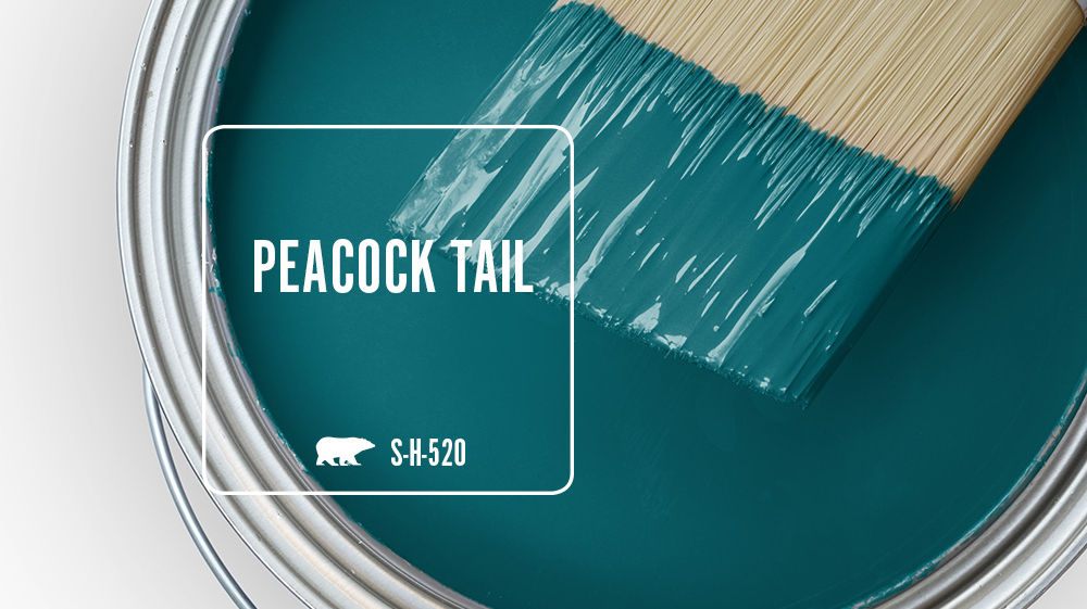 PEACOCK TAIL Color for Mobile