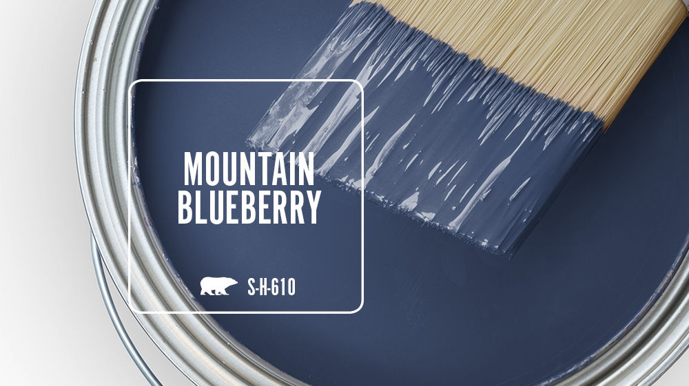 MOUNTAIN BLUEBERRY Color for Mobile