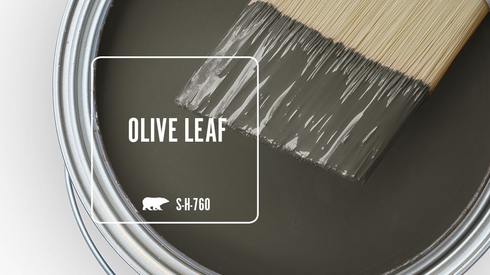 OLIVE LEAF Color