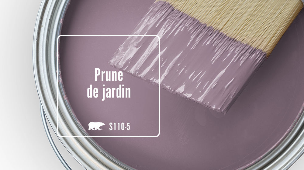 Prune de jardin Color for Mobile