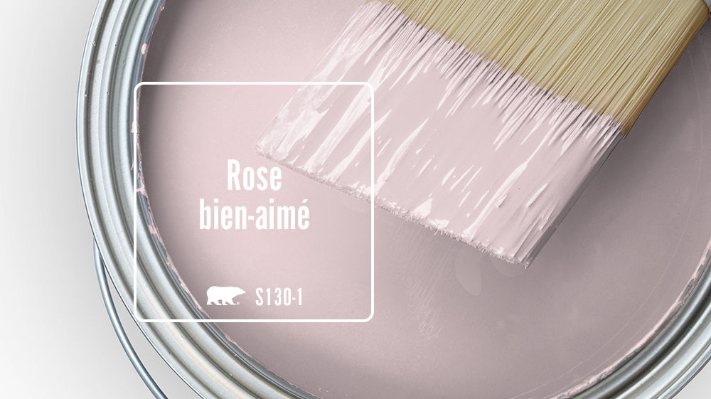 Rose bien-aimé Color for Mobile