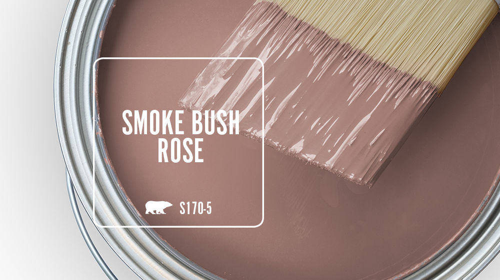 SMOKE BUSH ROSE Color for Mobile