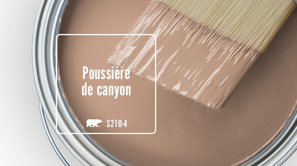 Poussière de canyon Color for Mobile