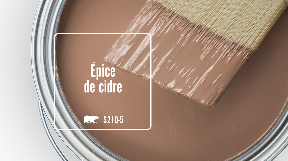 Épice de cidre Color for Mobile