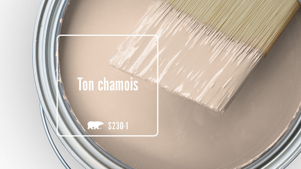 Ton chamois Color for Mobile