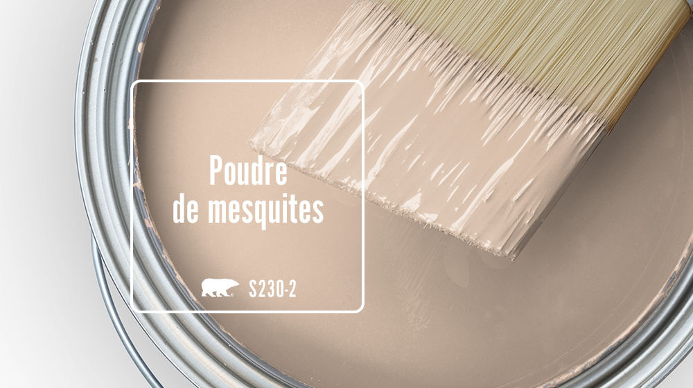 Poudre de mesquites Color for Mobile