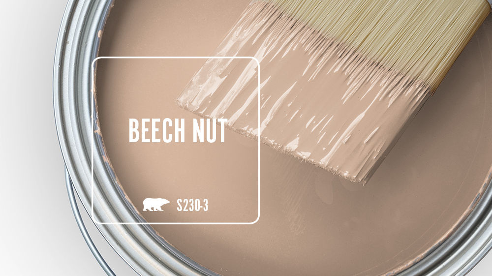 BEECH NUT Color for Mobile