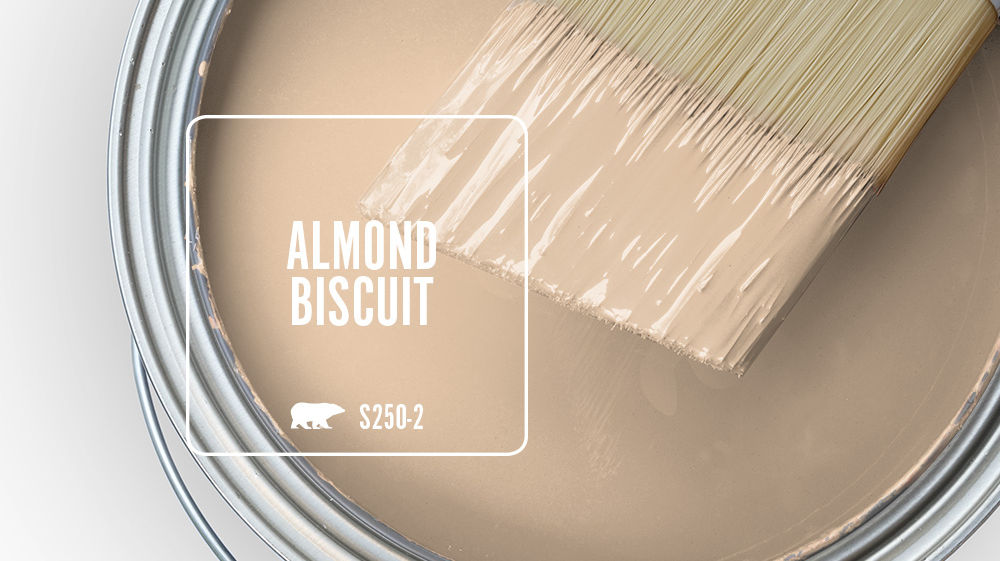 ALMOND BISCUIT Color for Mobile
