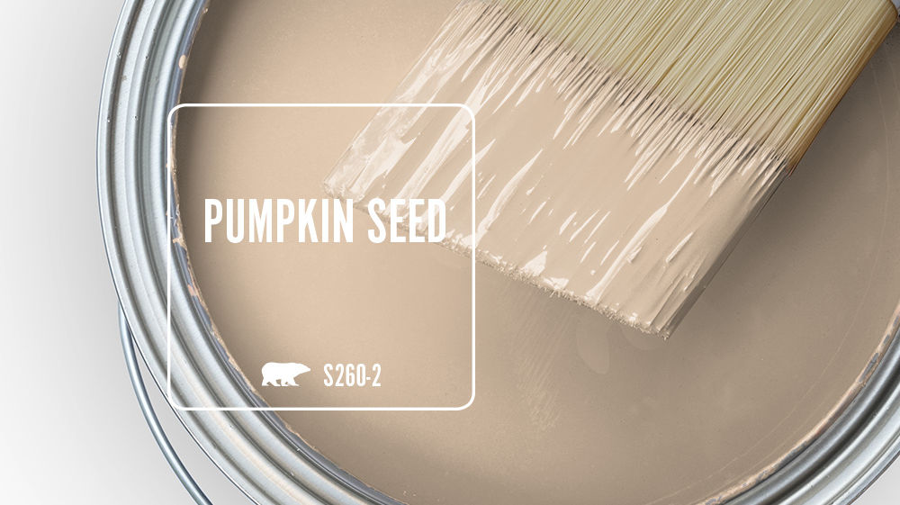 PUMPKIN SEED Color for Mobile