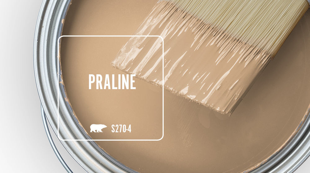 PRALINE Color for Mobile