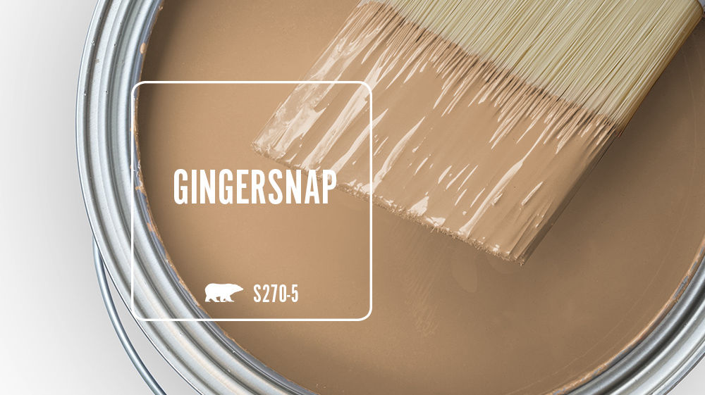 GINGERSNAP Color for Mobile