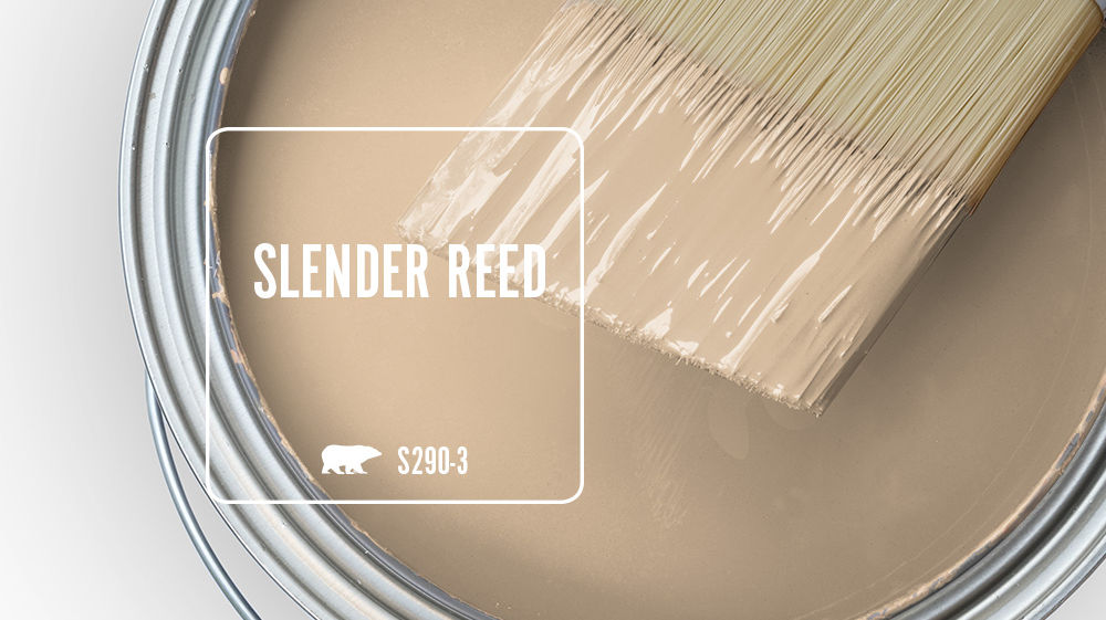 SLENDER REED Color for Mobile
