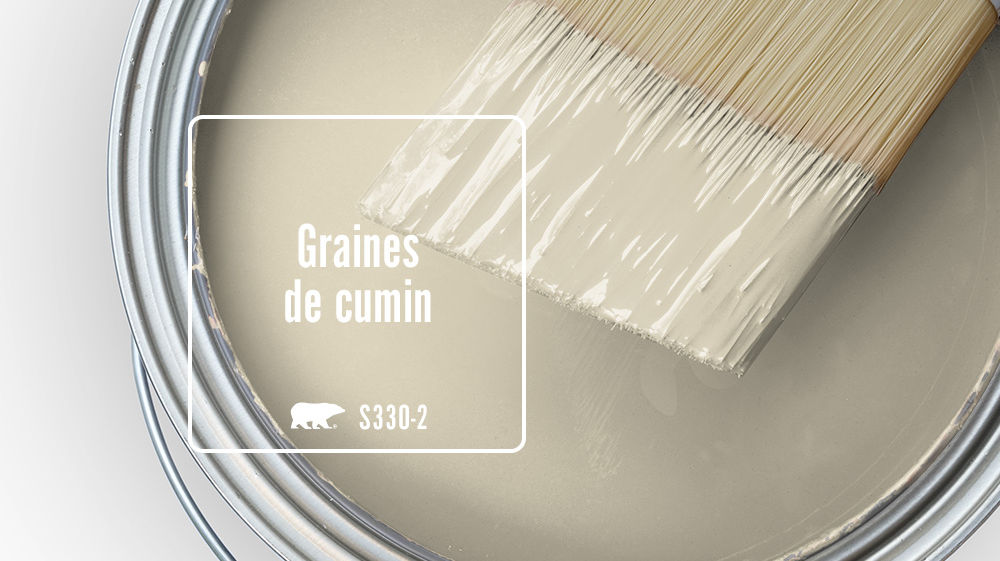 Graines de cumin Color for Mobile