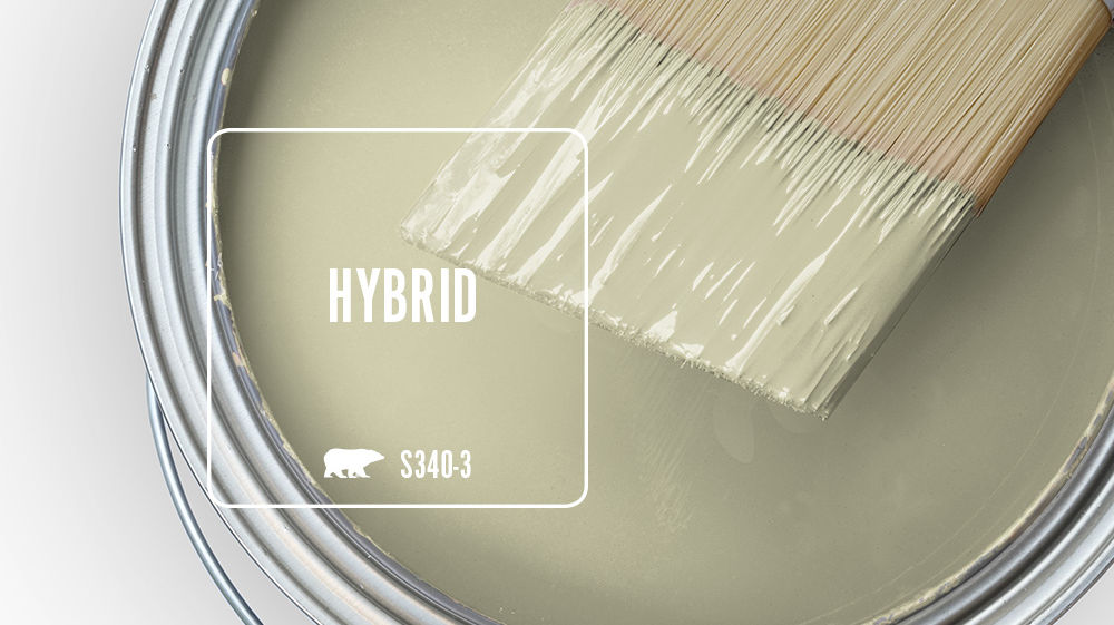 HYBRID Color for Mobile
