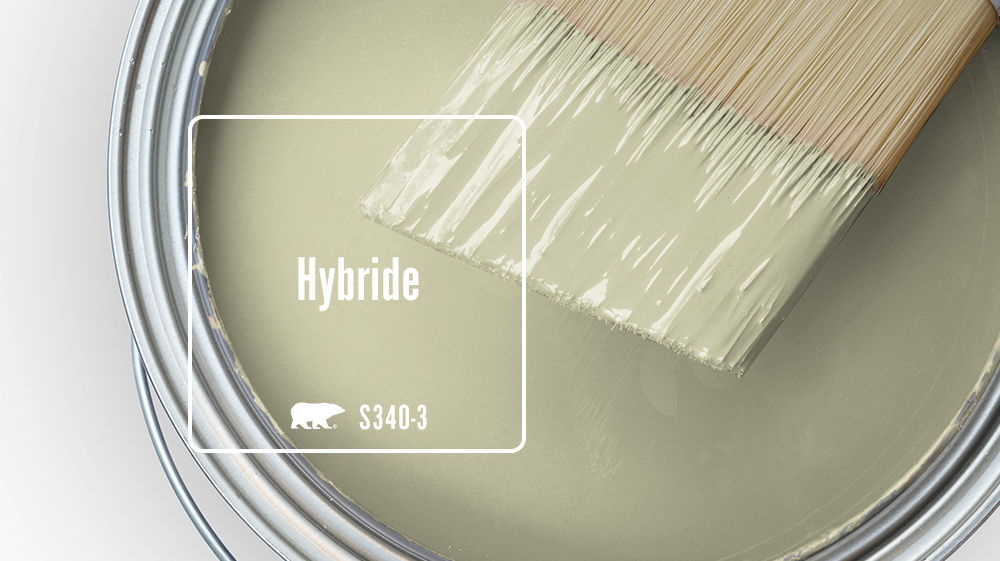 Hybride Color for Mobile