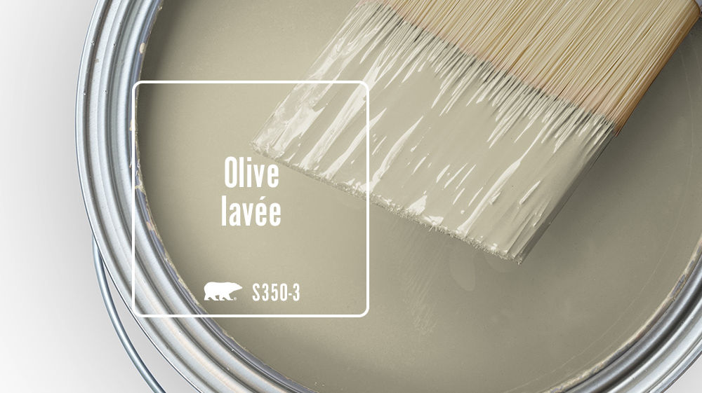 Olive lavée Color for Mobile