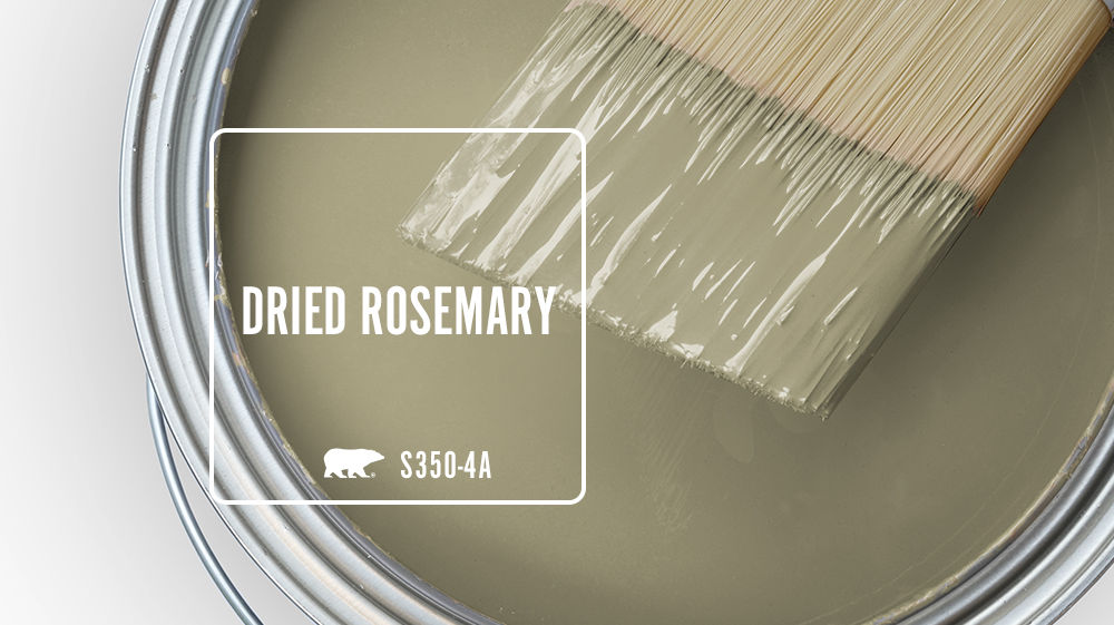 DRIED ROSEMARY Color for Mobile