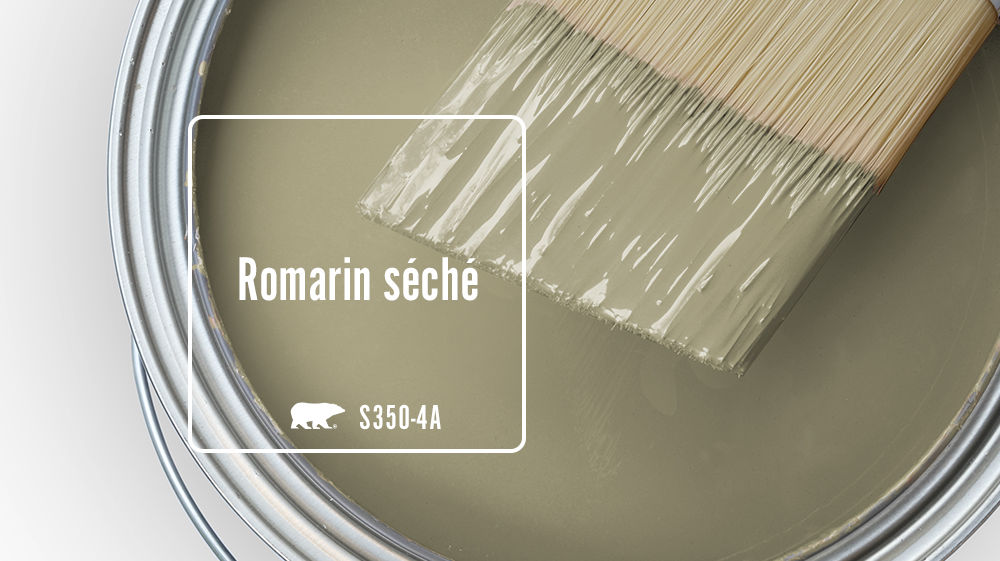 Romarin séché Color for Mobile