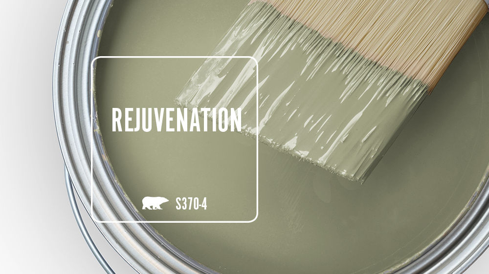 REJUVENATION Color for Mobile
